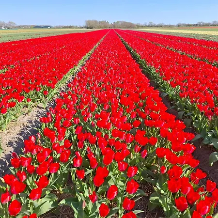 Ankes Traumhaus * Sint Maarten