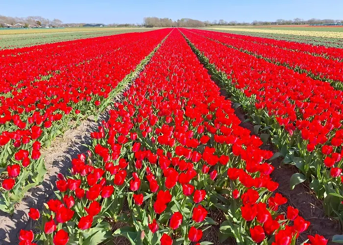 Ankes Traumhaus * Sint Maarten